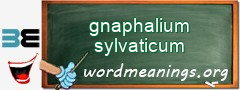 WordMeaning blackboard for gnaphalium sylvaticum